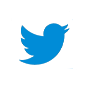 Twitter footer logo white, v1
