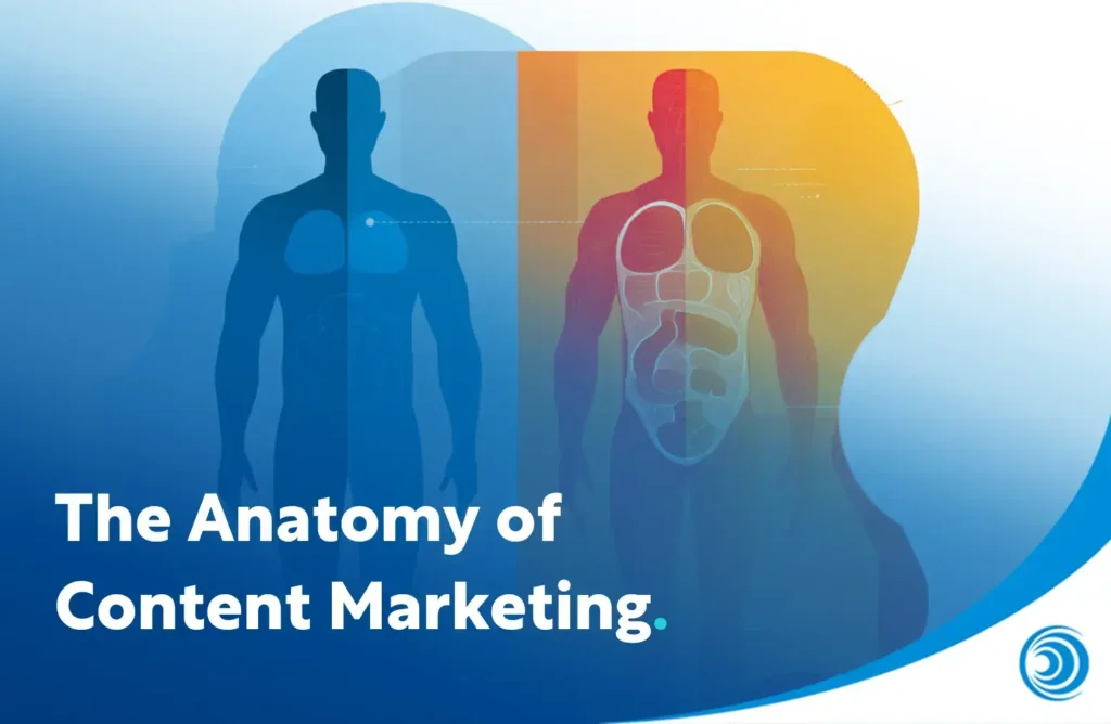 Illustration showing a human body split into two halves representing “The Anatomy of Content Marketing,” highlighting different internal components as a metaphor for strategy elements.